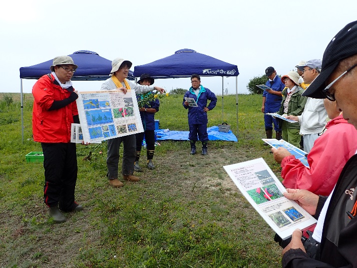 地域住民とのオオハンゴンソウの防除会